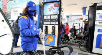 Môi Trường Cao Gia Quý 2