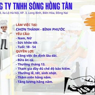 Sông Hồng Tân 3
