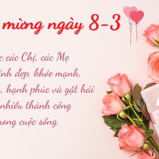 Sông Hồng Tân 2
