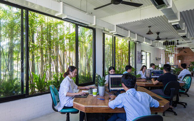 DỊCH THUẬT SEN VÀNG 2