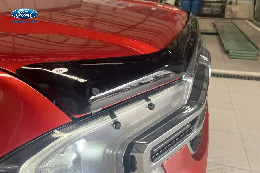 Tấn Phát Đạt 1