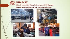 Sản Xuất Thương Mại Dịch Vụ Lê Trần 4