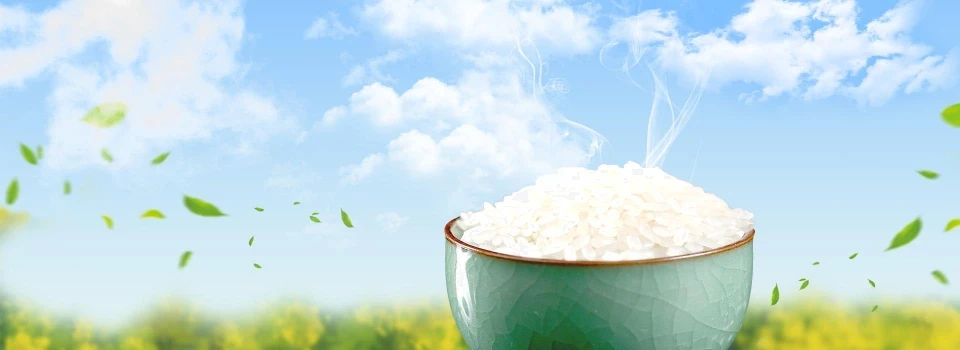 Xay Xát Hoàng Giao 2