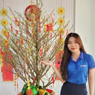 ĐẦU TƯ SABAY HOME 10