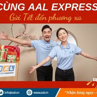 Giao Nhận Hàng Không AAL 11