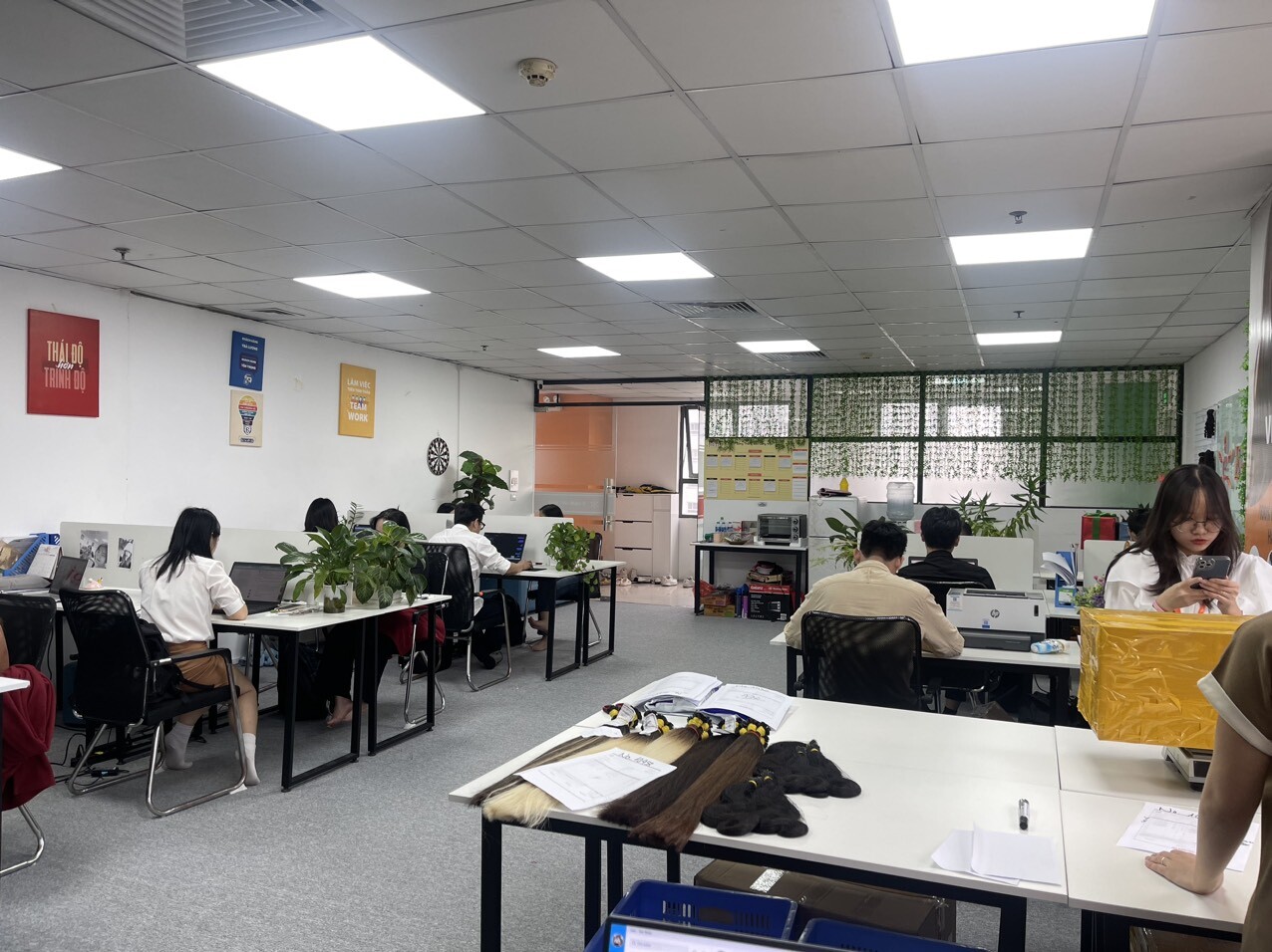 XUẤT NHẬP KHẨU E-HAIR VIETNAM 12