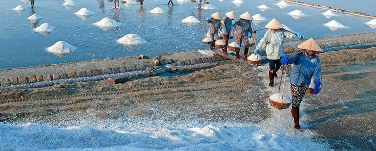 Tân Nhạn Dương 6