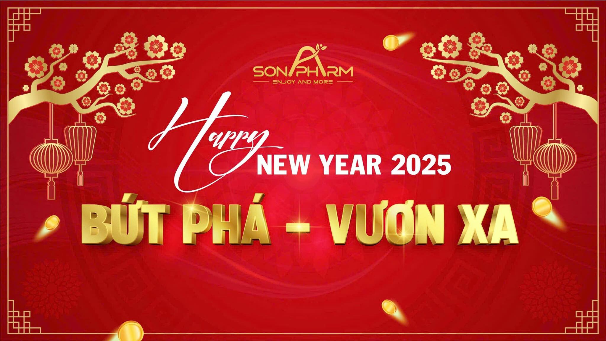 Sonapharm Việt Nam 18