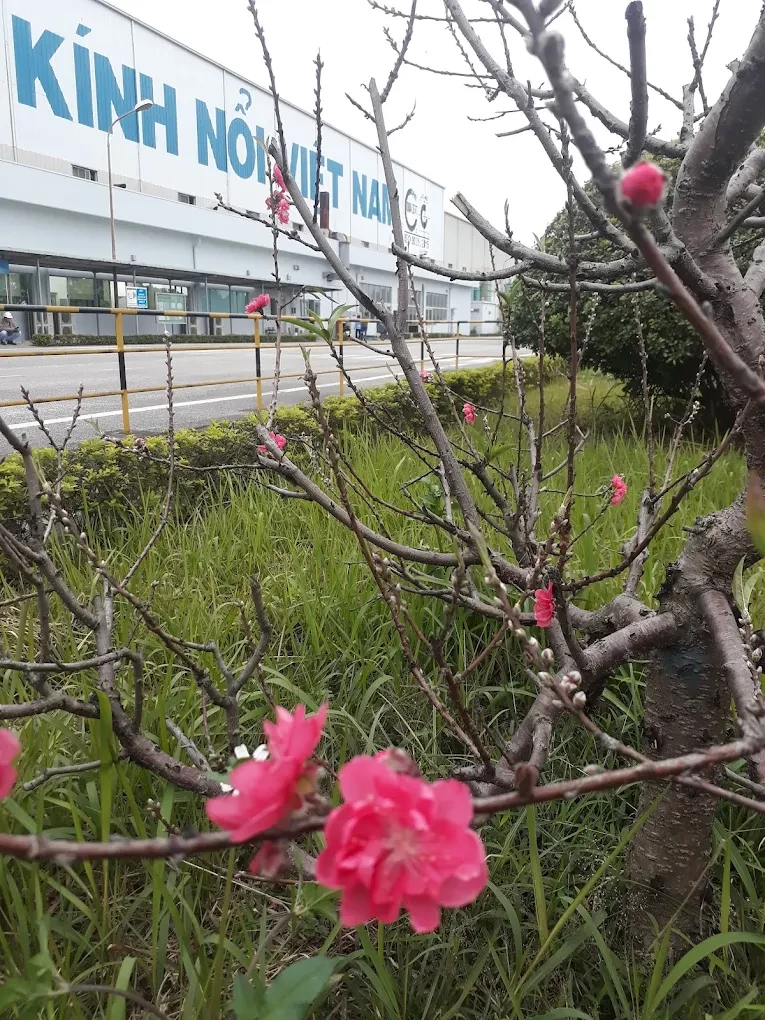 KÍNH NỔI VIỆT NAM 11