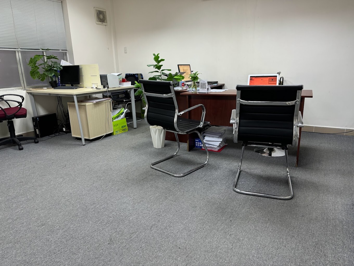 DỊCH THUẬT SEN VÀNG 5