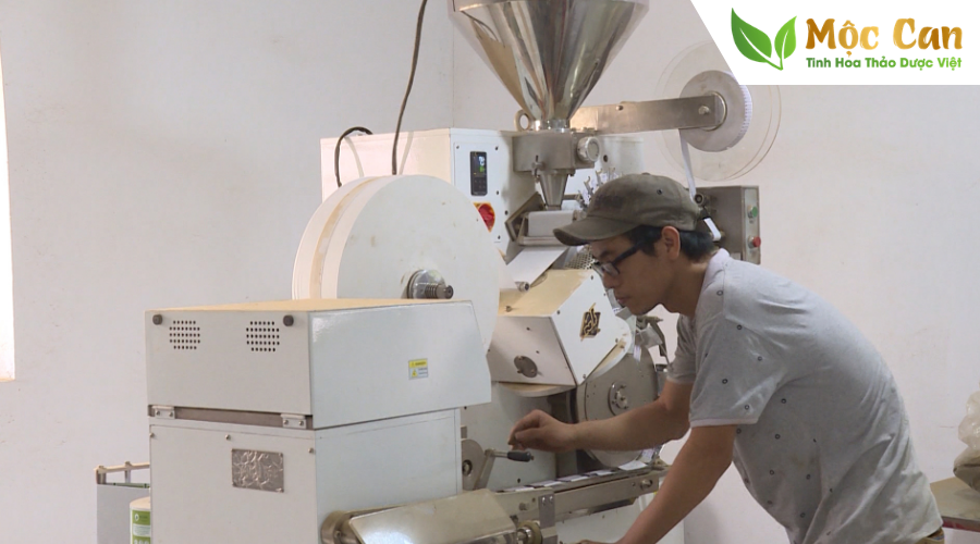 THẢO DƯỢC MỘC CAN 1