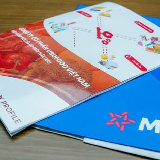 Tập đoàn An Việt 1