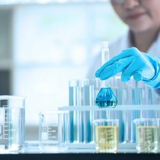 The University of Sydney Vietnam Institute 18