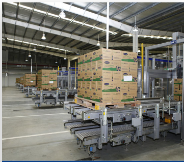 Dịch vụ Cuộc Sống Việt 2