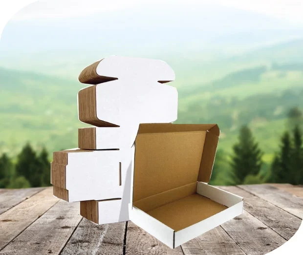 CÔNG NGHỆ BAO BÌ GIẤY TIẾN PHÁT 1