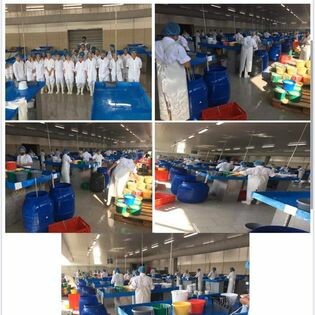 Xuất Nhập Khẩu Và Cung Ứng Nhân Lực Cipco 8