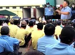 Green River Furniture 3