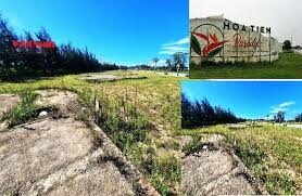 Hồng Lam Xuân Thành 4