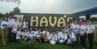 Nệm Hava's 9