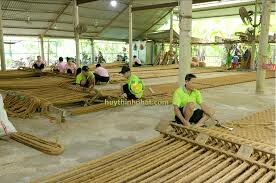 Xuất Nhập Khẩu Huy Thịnh Phát 2