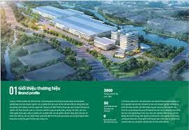 Sàn Nhà Vĩnh Dụ “YOYU” 6