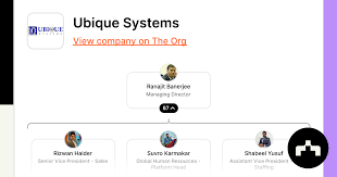 Ubique Systems 2