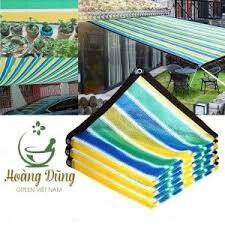 Hoàng Dũng Green Việt Nam 7