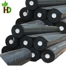 Hoàng Dũng Green Việt Nam 3