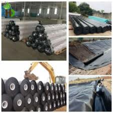 Hoàng Dũng Green Việt Nam 2