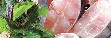 Thực Phẩm Bạn Và Tôi 8