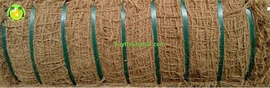 Xuất Nhập Khẩu Huy Thịnh Phát 7