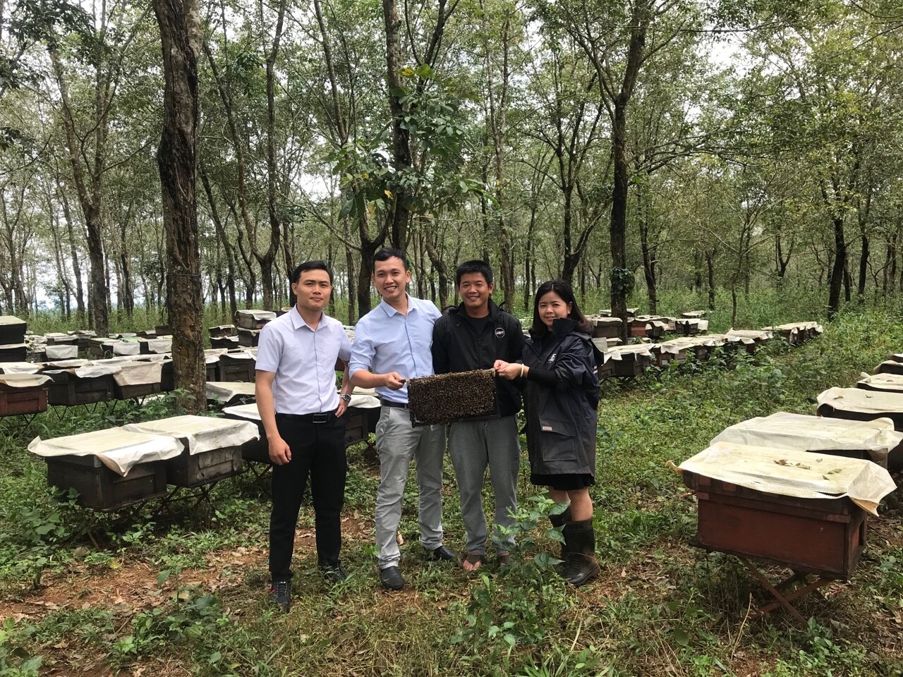 Chứng nhận Quản lý & Chất lượng Sản phẩm GreenCert 2