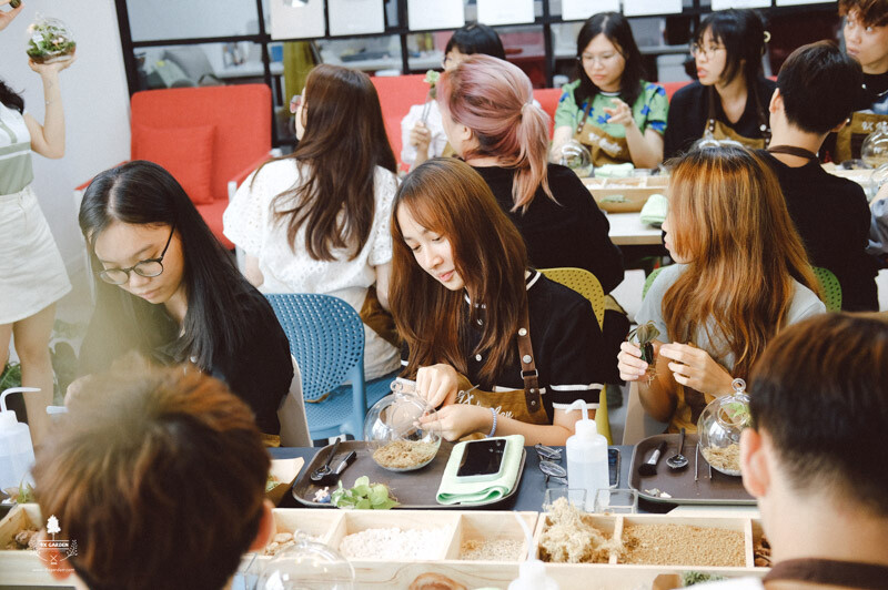 Dao Music Entertainment 1