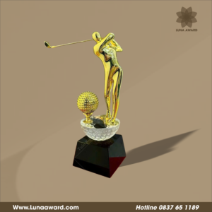 Luna Award Việt Nam 6