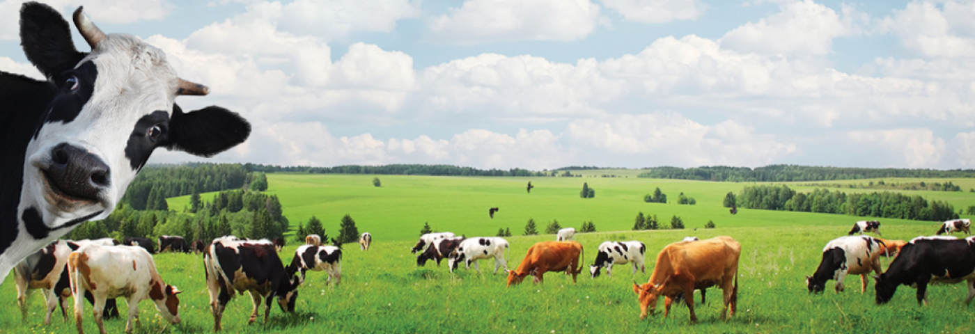 THƯƠNG MẠI VÀ SẢN XUẤT NAM PHÚC THỊNH 1