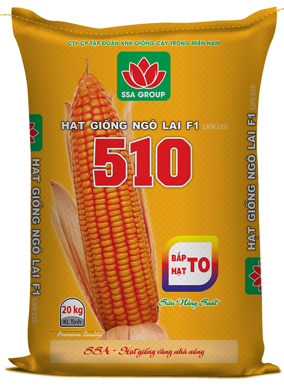 Bao bì Ánh Sáng 1