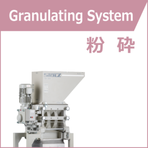 Desmet Stolz Việt Nam 2