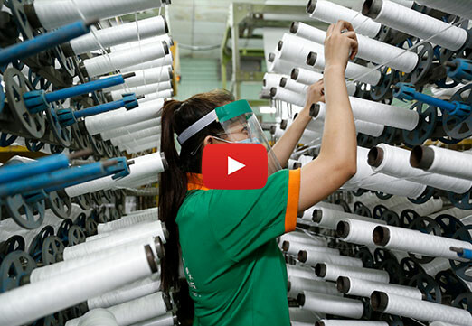 Bao bì Ánh Sáng 6