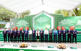 Hóa chất Cơ bản Miền Nam 10