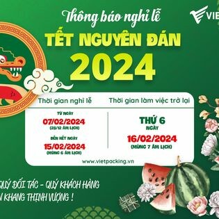 Việt Vạn Nhất 10