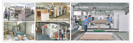 Bao Bì Tân Long 10