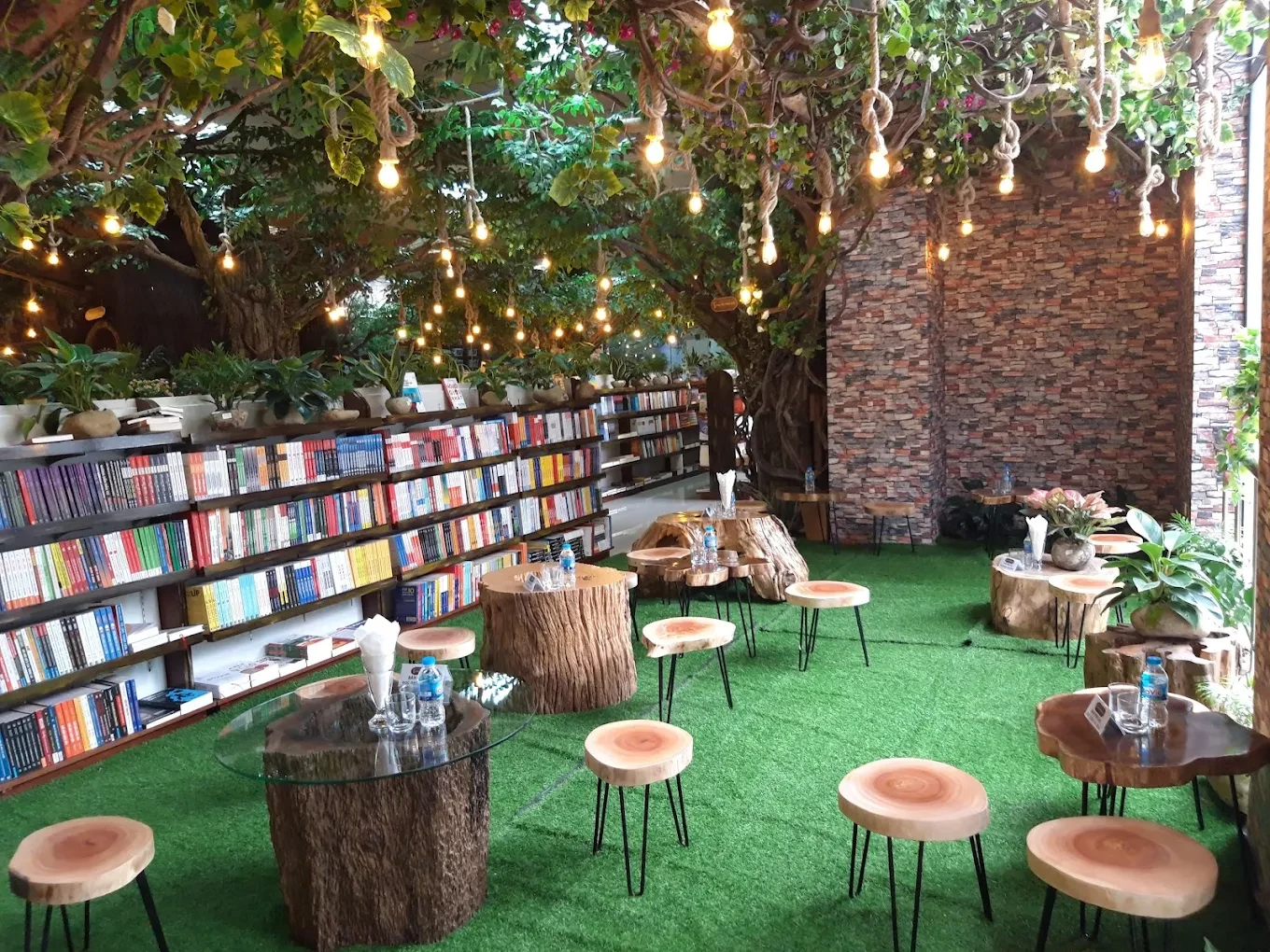 VƯỜN TRI THỨC VIỆT 10