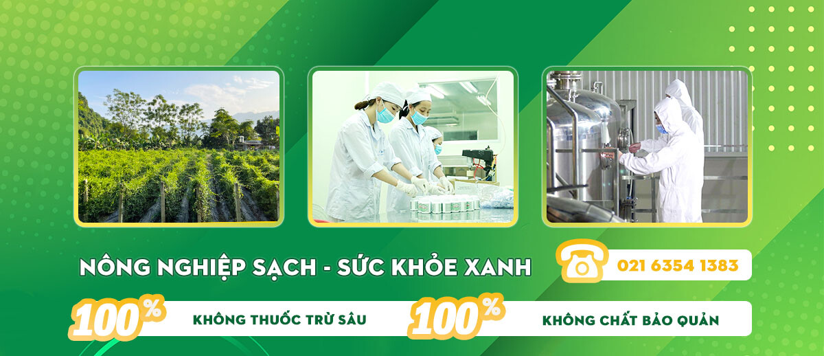 Thảo Dược Kiên Minh 5
