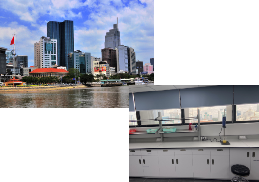 MATSUMOTO TRADING VIỆT NAM 4