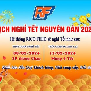 Thức Ăn Chăn Nuôi Rico 11