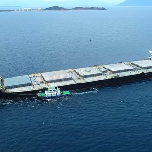 Dịch Vụ Vận Tải Biển Hải Vân 8