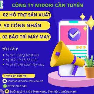 Midori Safety Footwear Việt Nam 12