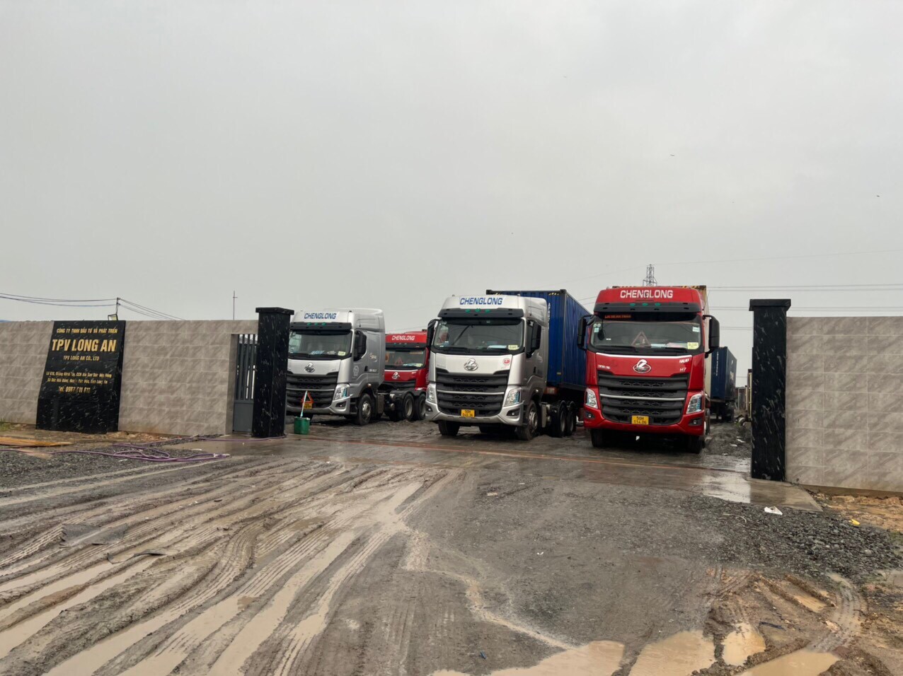 Xuất Nhập Khẩu Tân Phong Vận 3