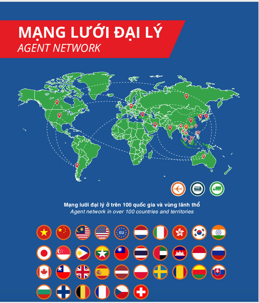 Xuất Nhập Khẩu Tân Phong Vận 1