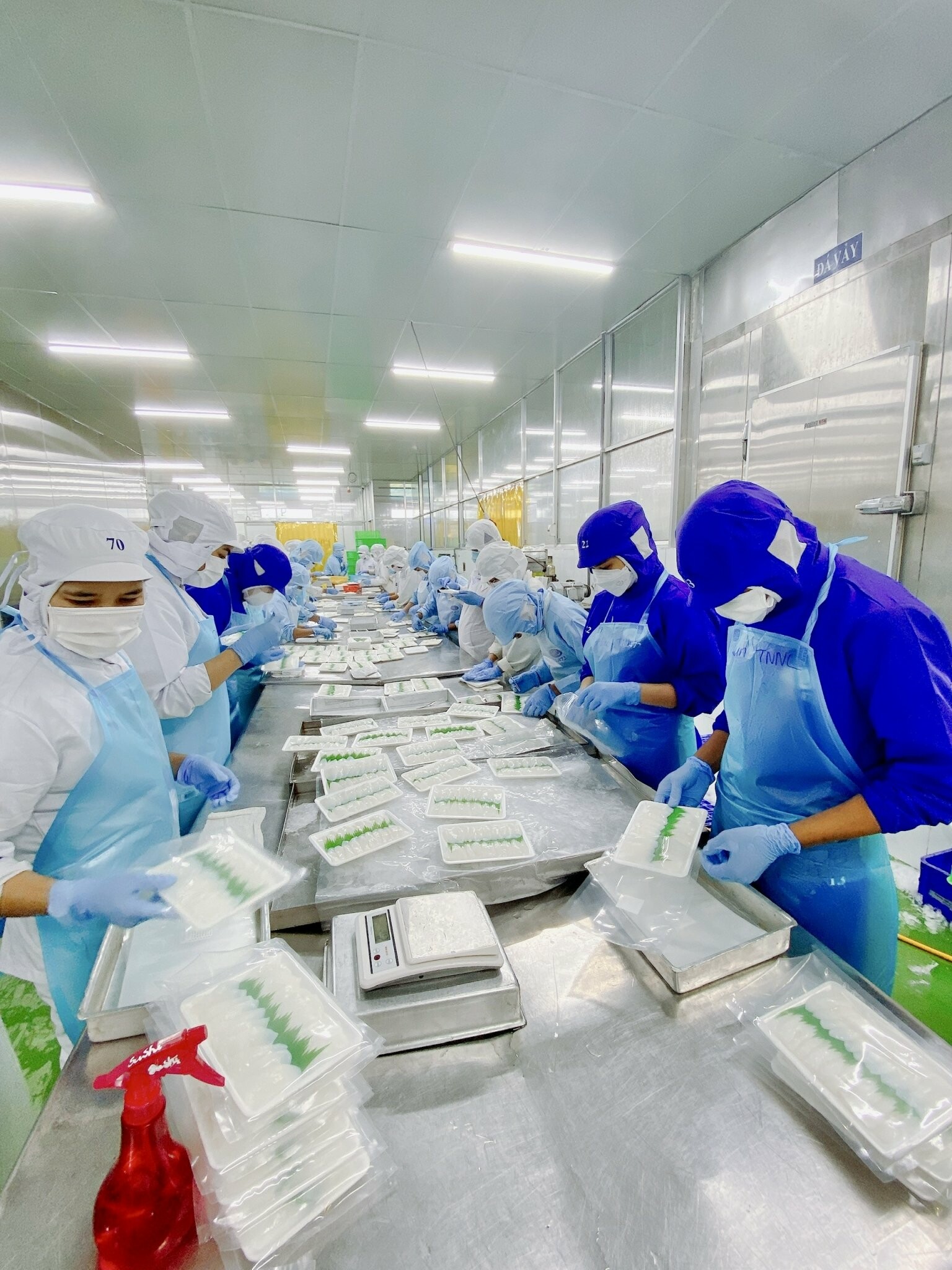 Thủy Sản Nam Thái Bình Dương 9